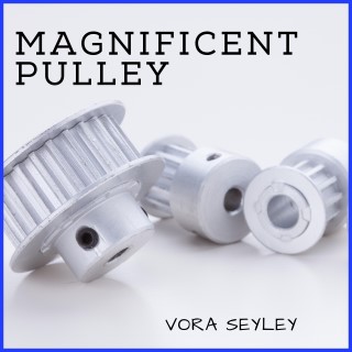 Magnificent Pulley