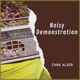 Noisy Demonstration