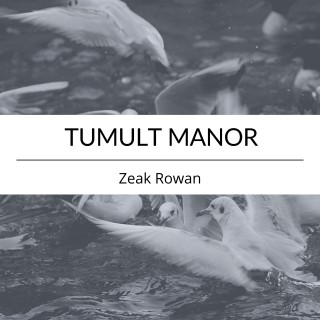 Tumult Manor