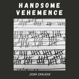 Handsome Vehemence