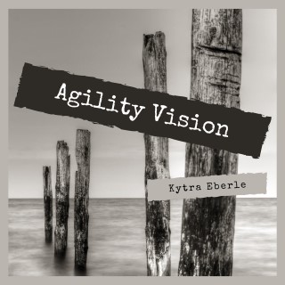 Agility Vision