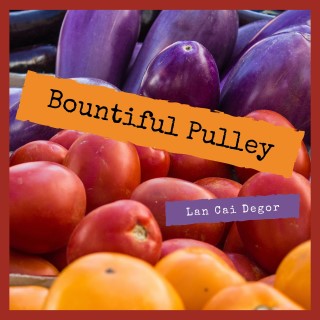 Bountiful Pulley