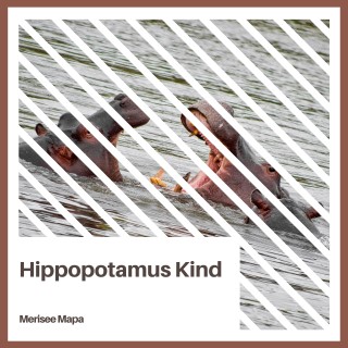 Hippopotamus Kind