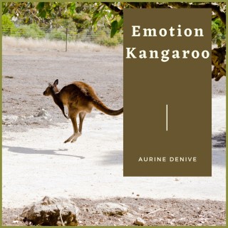 Emotion Kangaroo