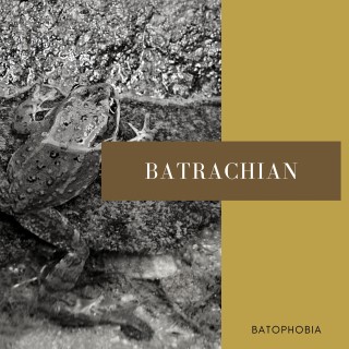 Batrachian