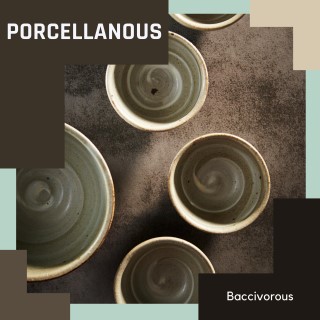 Porcellanous