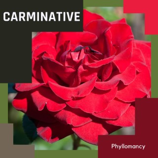 Carminative