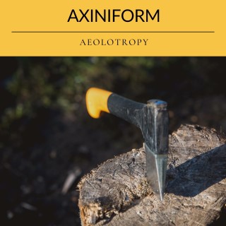 Axiniform