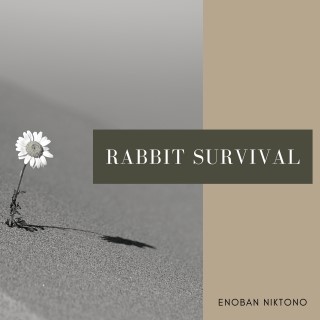 Rabbit Survival