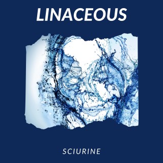 Linaceous