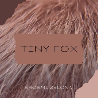 Tiny Fox