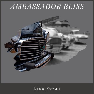 Ambassador Bliss