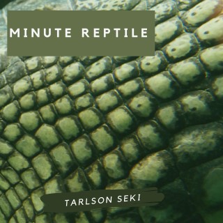 Minute Reptile