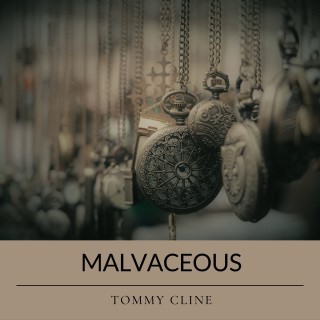 Malvaceous