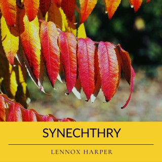 Synechthry