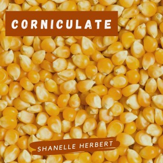 Corniculate