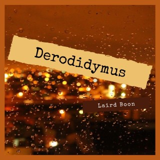 Derodidymus