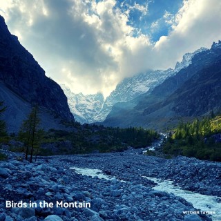 Birds In The Mountain