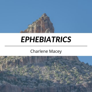 Ephebiatrics