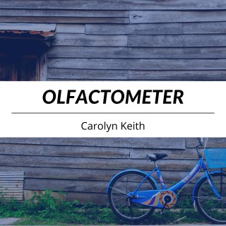 Olfactometer