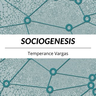 Sociogenesis