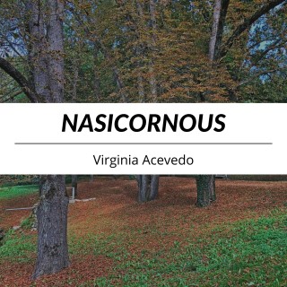 Nasicornous