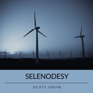 Selenodesy