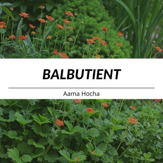 Balbutient