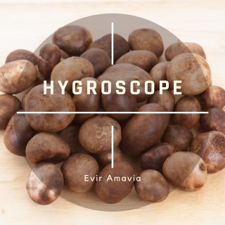 Hygroscope