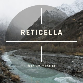 Reticella