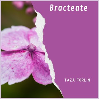 Bracteate