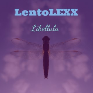 Libellula