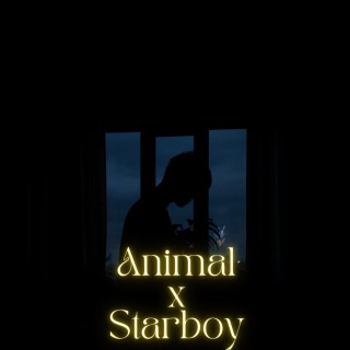 Animals x Starboy