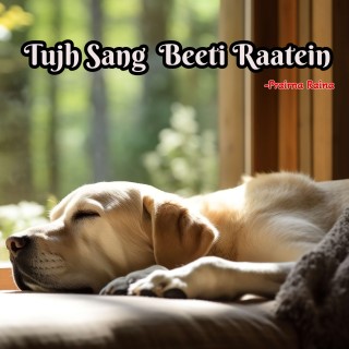 Tujh Sang Beeti Raatein