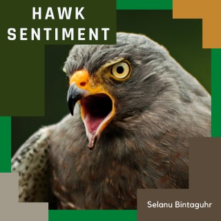 Hawk Sentiment