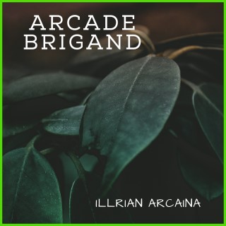 Arcade Brigand