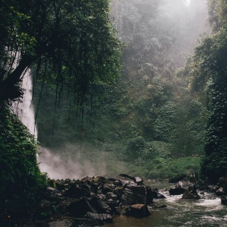 Rainforest Rain Sounds