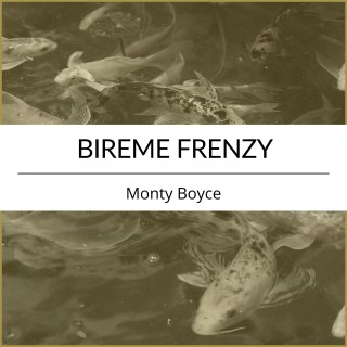 Bireme Frenzy