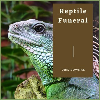 Reptile Funeral